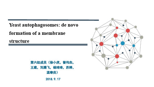 细胞自噬PPT课件