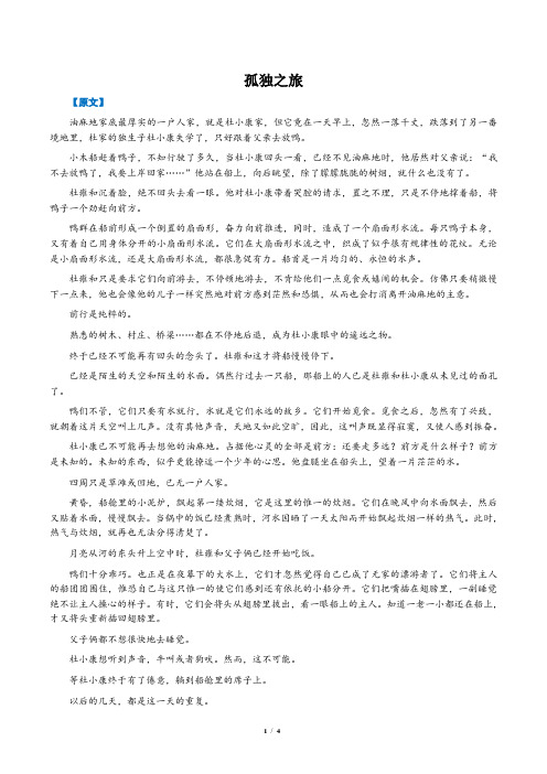 部编版语文九上第16课《孤独之旅》知识梳理