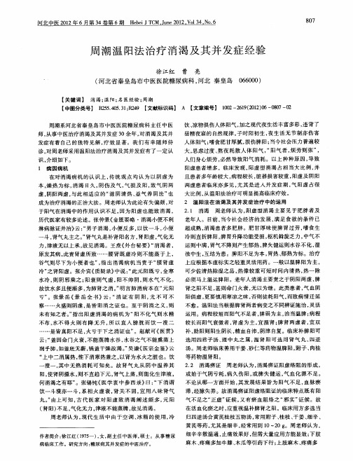 周潮温阳法治疗消渴及其并发症经验