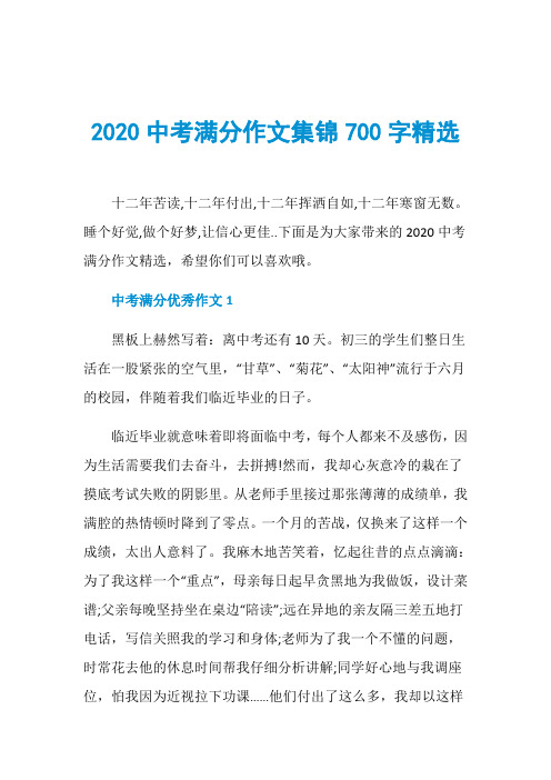 2020中考满分作文集锦700字精选
