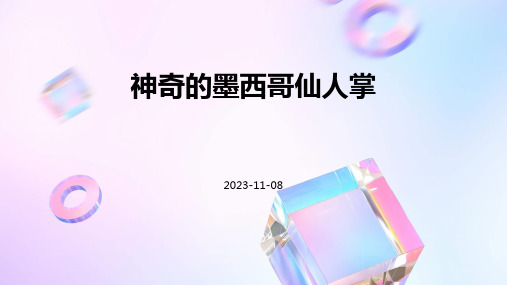 神奇的墨西哥仙人掌