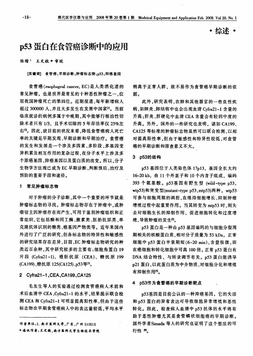 p53蛋白在食管癌诊断中的应用