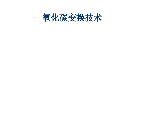 一氧化碳变换技术交流