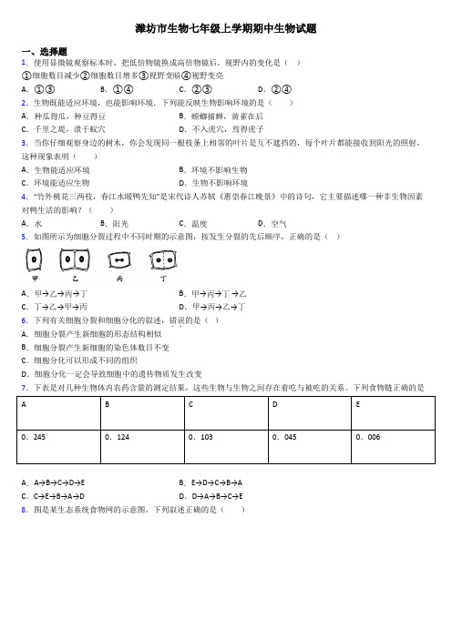 潍坊市生物七年级上学期期中生物试题