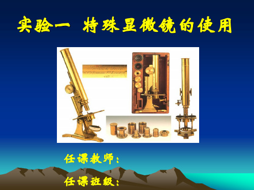 相差显微镜PhaseContrastMicroscope