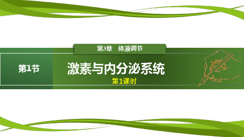 3.1 激素与内分泌系统(人教版高中生物选择性必修1课件-2023年)