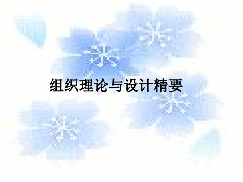 组织理论和设计精要