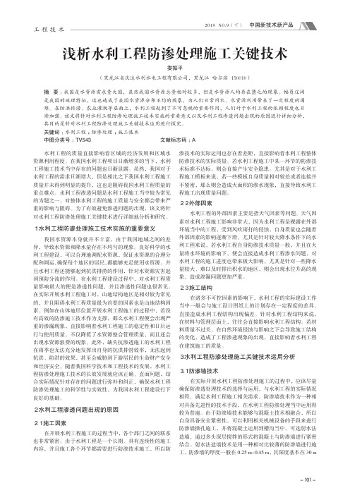 浅析水利工程防渗处理施工关键技术