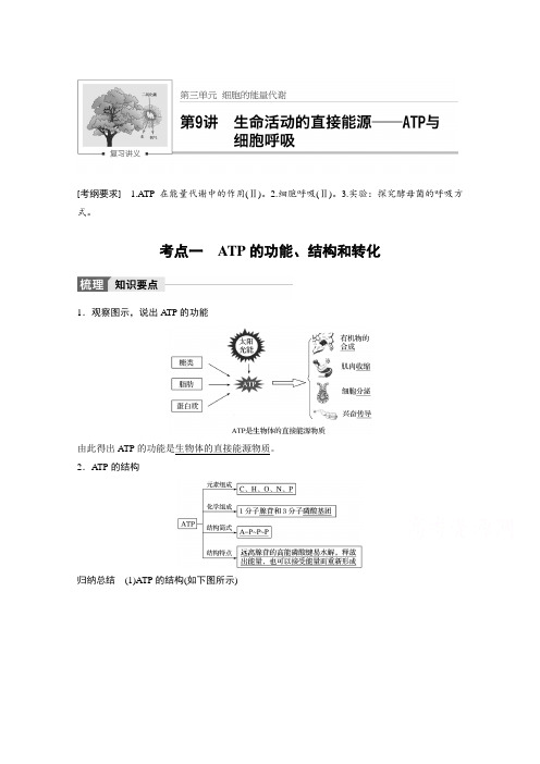 2018版 高考生物北师大版大一轮复习讲义 第三单元 细胞的能量代谢 第9讲 含答案 精品