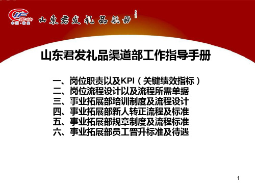 工作指导手册PPT课件
