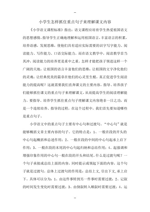 小学生怎样抓住重点句子来理解课文内容