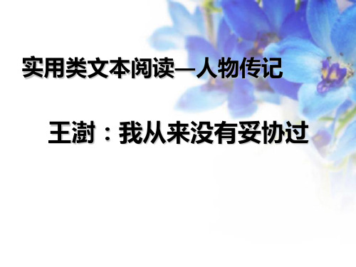人物传记(王澍)