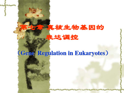 第七章真核生物基因的表达调控