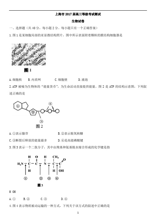 高三等级考试测试生物试题及答案