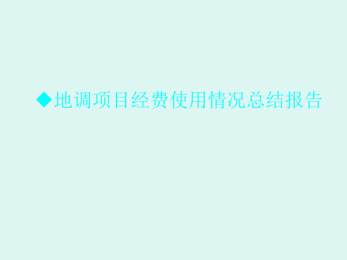 地调项目经费使用情况总结报告