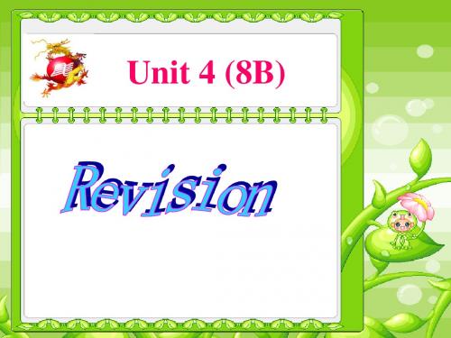 苏教版英语8B Unit4 A charity show