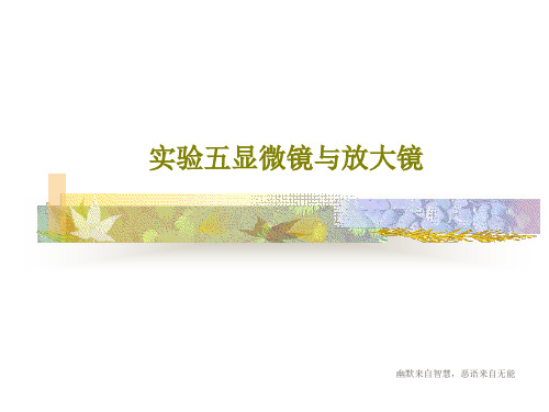 实验五显微镜与放大镜共17页