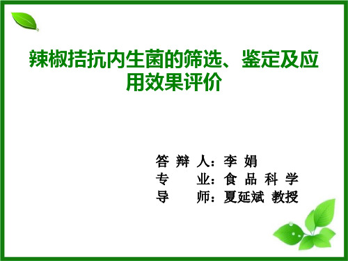 辣椒拮抗内生菌的毕筛选、鉴定及应用效果评价毕业论文PPT(李娟)