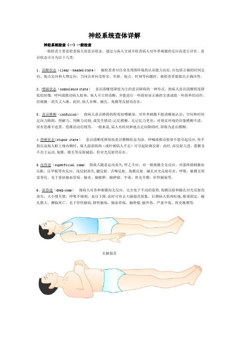 神经系统查体图文详解