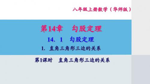 华师大版八年级数学上册第十四章同步测试题课件版