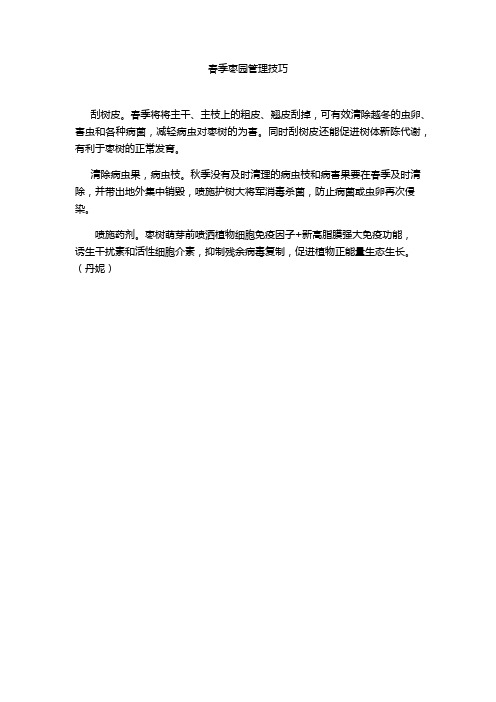 春季枣园管理技巧