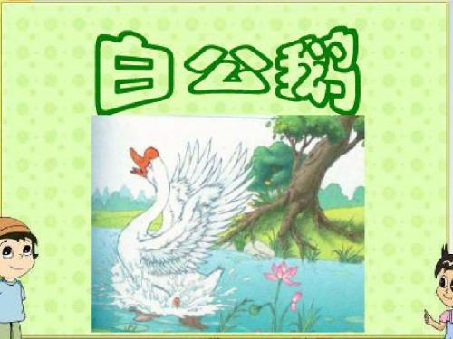 14白公鹅PPT