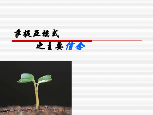 萨提亚模式之主要信念