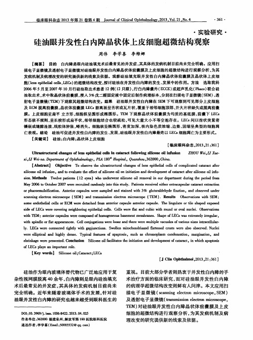 硅油眼并发性白内障晶状体上皮细胞超微结构观察