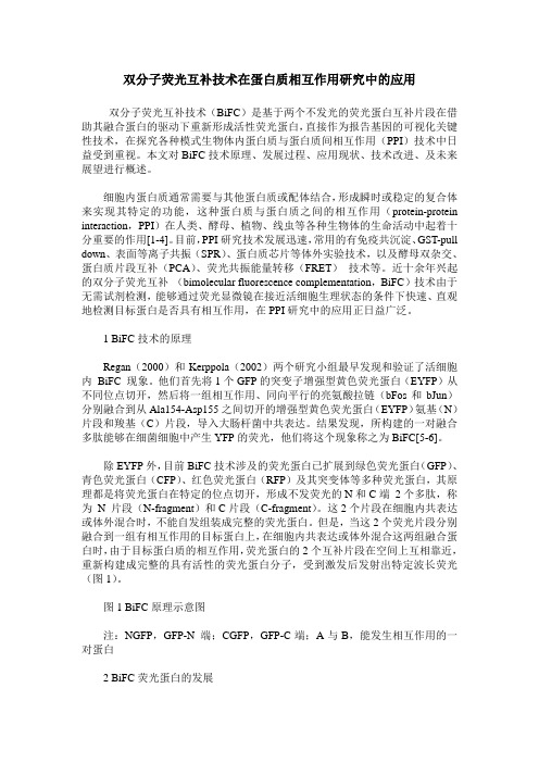 双分子荧光互补技术在蛋白质相互作用研究中的应用