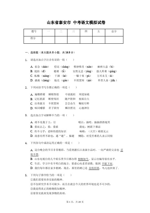 山东专版 泰安市中考语文模拟试卷