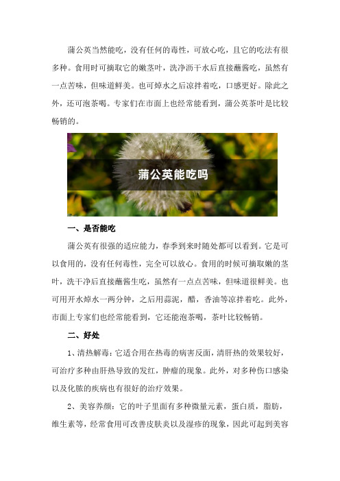 蒲公英能吃吗,吃蒲公英有什么好处