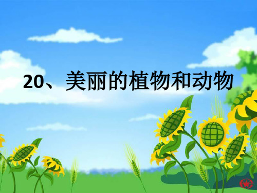 20《美丽的植物和动物》(课件)-2021-2022学年美术一年级上册 人教版