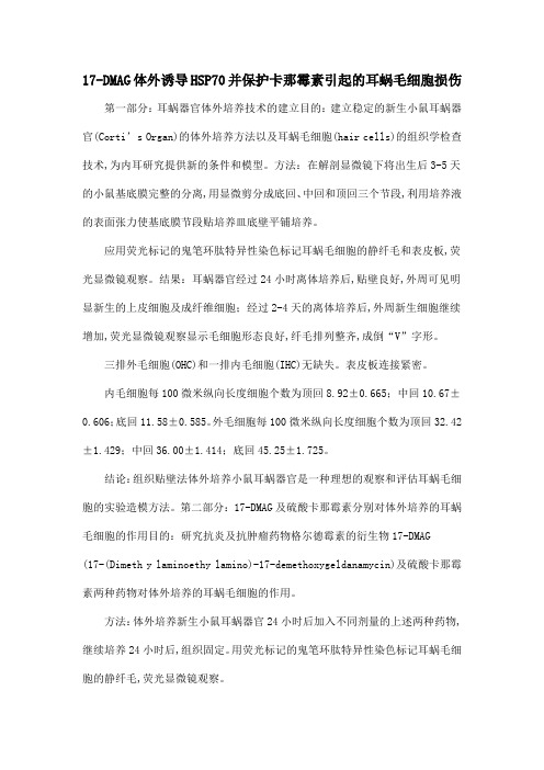 17-DMAG体外诱导HSP70并保护卡那霉素引起的耳蜗毛细胞损伤