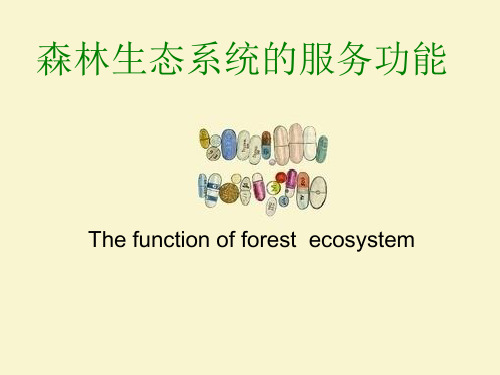 森林生态系统的服务功能