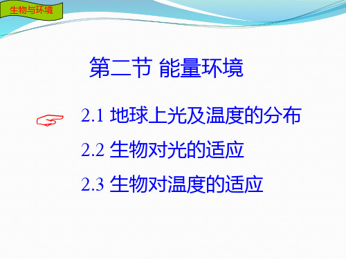 森林生态学：2_2能量环境