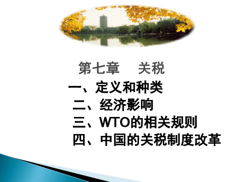 第7章关税