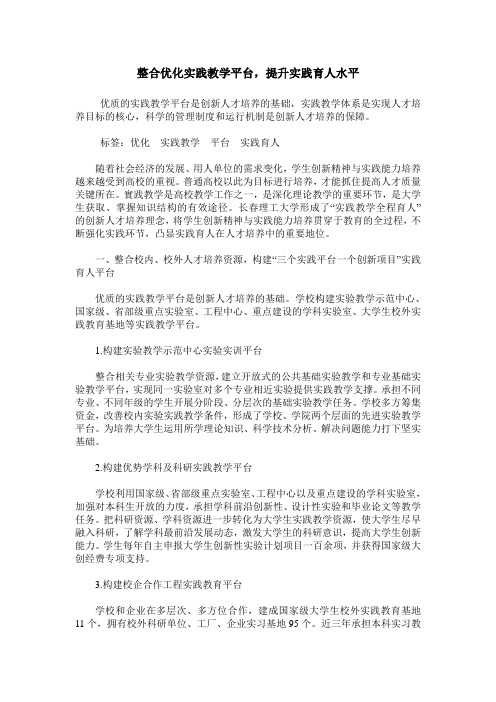 整合优化实践教学平台,提升实践育人水平