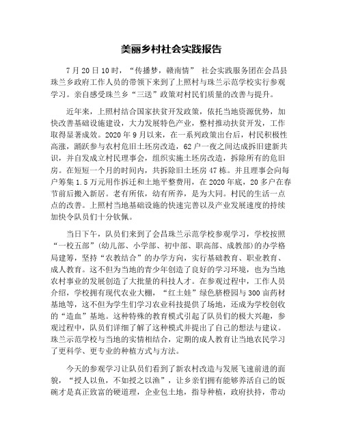 美丽乡村社会实践报告
