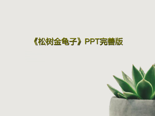 《松树金龟子》PPT完善版共23页