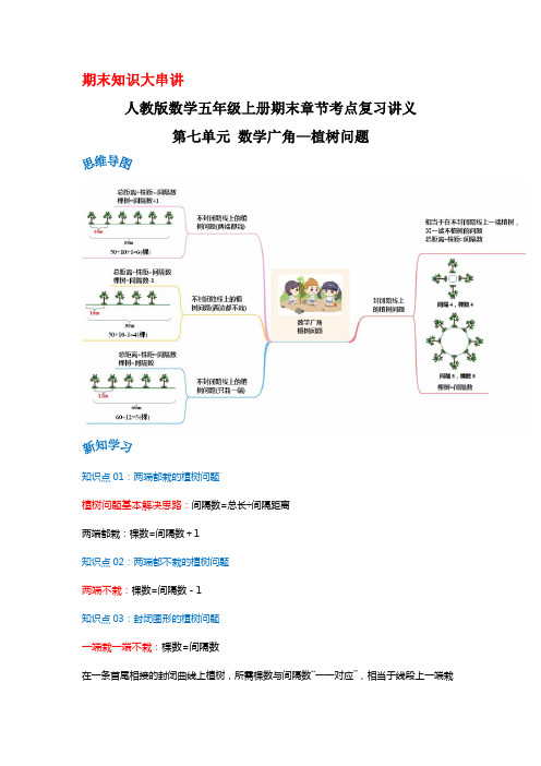 人教版五年级数学上册精讲精练期末复习 第七单元《数学广角—植树问题》(原卷+解析)
