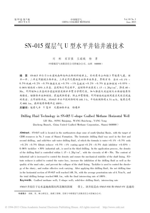 SN_015煤层气U型水平井钻井液技术_刘彬