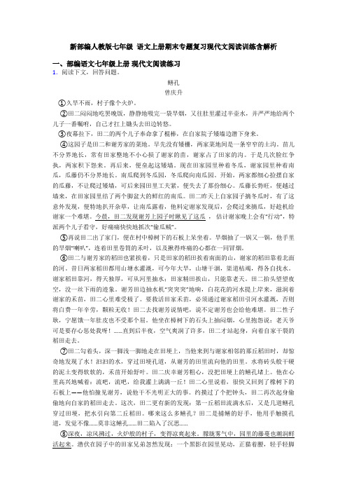 新部编人教版七年级 语文上册期末专题复习现代文阅读训练含解析
