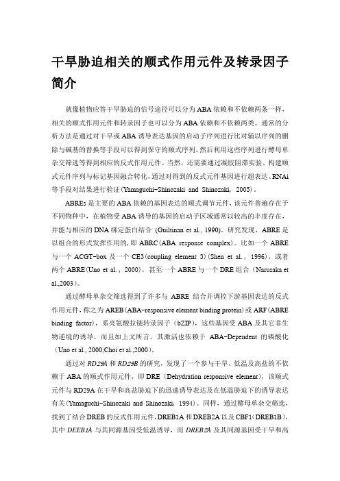 干旱胁迫相关的顺式作用元件及转录因子简介