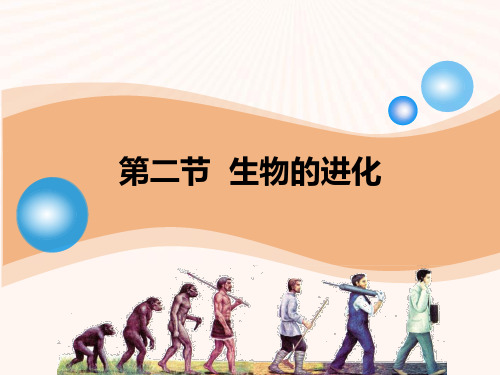 北师大版初中生物 八年级下学期(初二下册) 《生物的进化》PPT下载