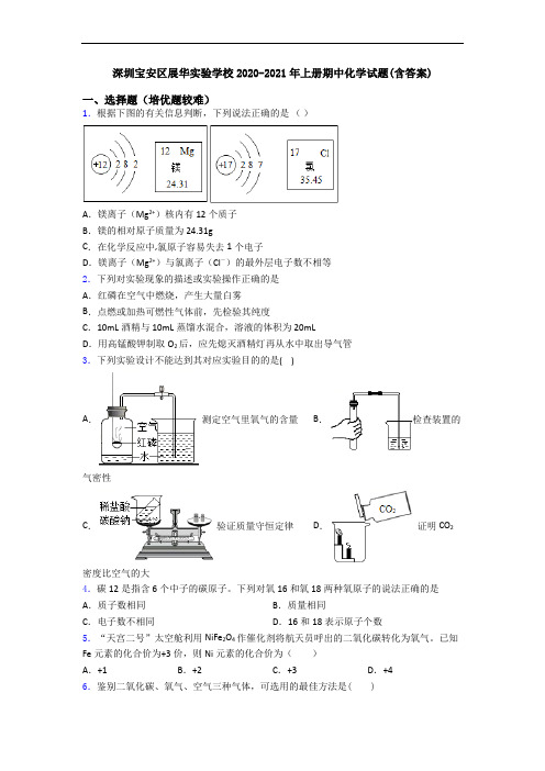 深圳宝安区展华实验学校2020-2021年上册期中初三化学试题(含答案)