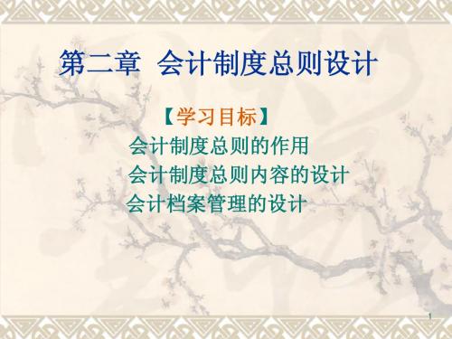 会计制度设计讲义第二章