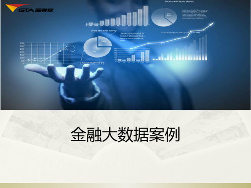 金融大数据案例PPT(30张)