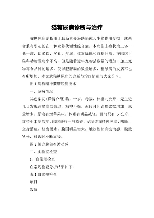 猫糖尿病诊断与治疗