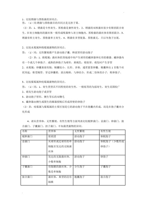 不同菌物的比较