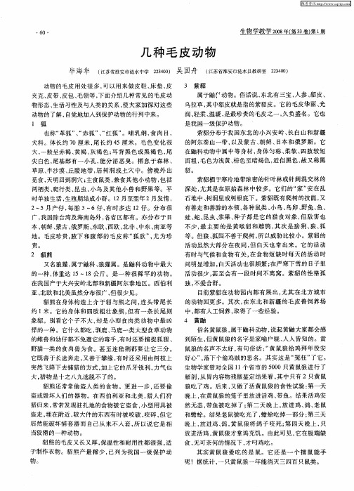 几种毛皮动物